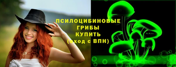 apvp Абаза
